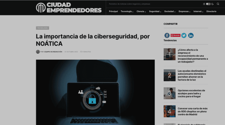 La importancia de la ciberseguridad, por NOÁTICA